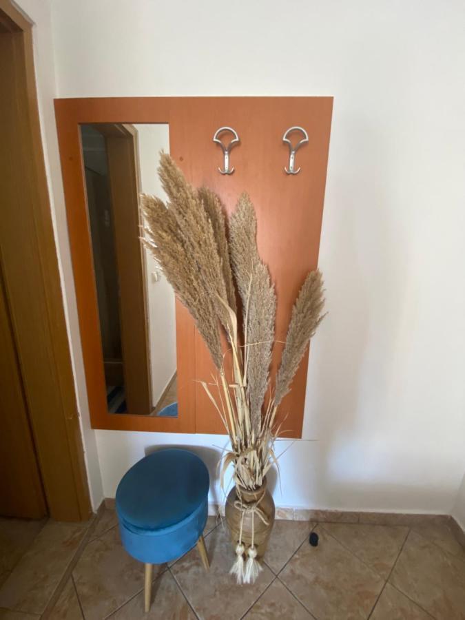 Miomir Perazic Apartments Petrovac Extérieur photo